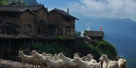 横山响铃塔旅游攻略