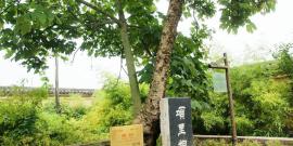 佛山三水九道谷漂流旅游攻略