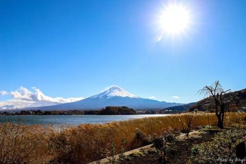 日本赏枫攻略 | 完美的枫叶富士! 日本赏枫攻略 | 完美的枫叶富士!