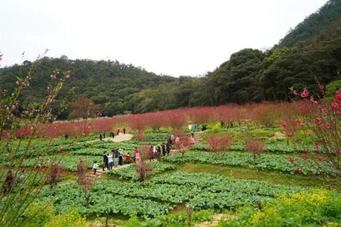 游记|石门国家森林公园 游记|石门国家森林公园