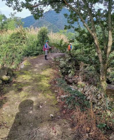 登台州最高峰米筛浪,天台县最高峰大雷山 登台州最高峰米筛浪,天台县最高峰大雷山