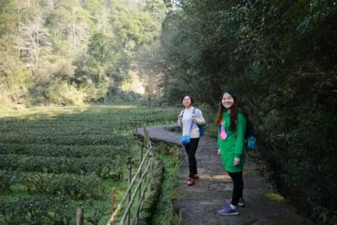 游记|匆走武夷山 游记|匆走武夷山