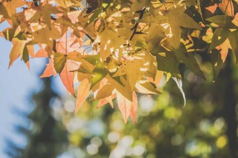 孟屯河谷游学之旅(上篇) 孟屯河谷游学之旅(上篇)