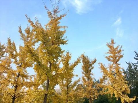 [游记分享] 山 川 湖 海 沙 漠 平 原——西北行（完）