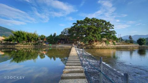 福建漳州 | 栈道、老榕与土楼,共谱一曲南靖云水谣 福建漳州 | 栈道、老榕与土楼,共谱一曲南靖云水谣