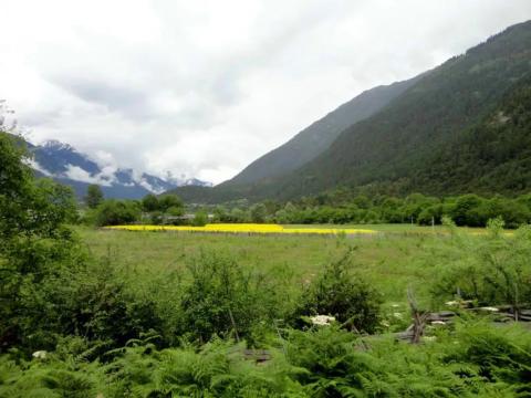 游记 | 千里走单骑 圆梦318(十七) 游记 | 千里走单骑 圆梦318(十七)