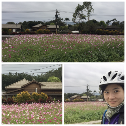 骑行台湾·第八天,瑞穗→太鲁阁 (90.6km) 骑行台湾·第八天,瑞穗→太鲁阁 (90.6km)
