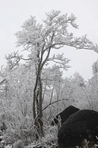 2020年的第一场雪之大寺基 2020年的第一场雪之大寺基