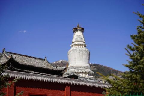 五台山游记|我跟团去了一趟五台山 五台山游记|我跟团去了一趟五台山