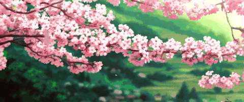面朝大海,春暖花开 —小白鹭游记 面朝大海,春暖花开 —小白鹭游记