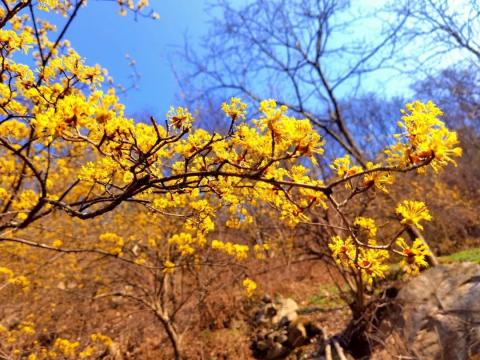 徒步终南云际山巅云际寺,三桥峪问顶云际古刹O型穿越 徒步终南云际山巅云际寺,三桥峪问顶云际古刹O型穿越
