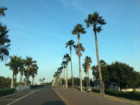 华南行游记之十五:厦门岛内游 华南行游记之十五:厦门岛内游