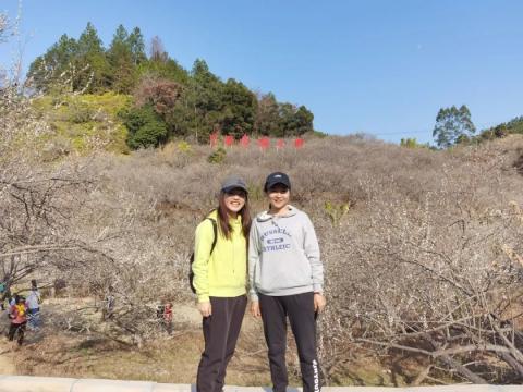 旅行札记 | 陆河万亩梅园,一起共赏梅景 旅行札记 | 陆河万亩梅园,一起共赏梅景