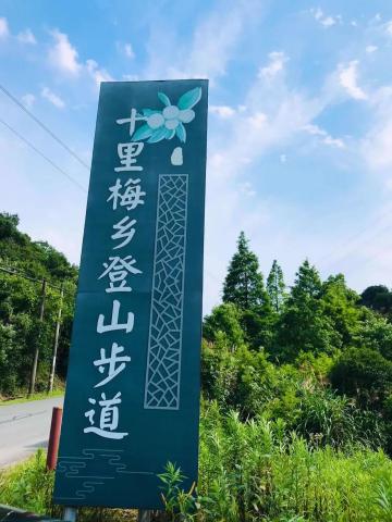 徒步游记 | 余姚十里梅乡杨梅品鉴之旅 徒步游记 | 余姚十里梅乡杨梅品鉴之旅
