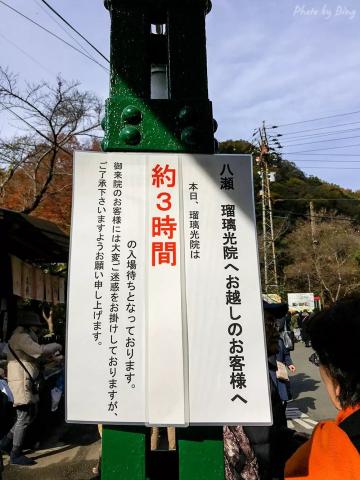 日本赏枫攻略 | 琉璃光院,真的美真的夸张。 日本赏枫攻略 | 琉璃光院,真的美真的夸张。