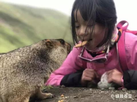 川西大环之旅 | 第五天:回首,再看一眼,莫斯卡! 川西大环之旅 | 第五天:回首,再看一眼,莫斯卡!