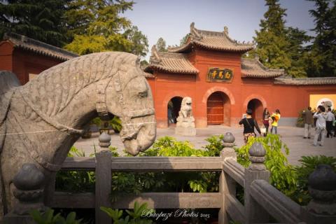 游记|那些年我拍过的洛阳:白马寺、少林寺和龙门石窟 游记|那些年我拍过的洛阳:白马寺、少林寺和龙门石窟