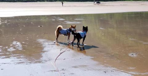 游记|鹤浦石浦游 游记|鹤浦石浦游
