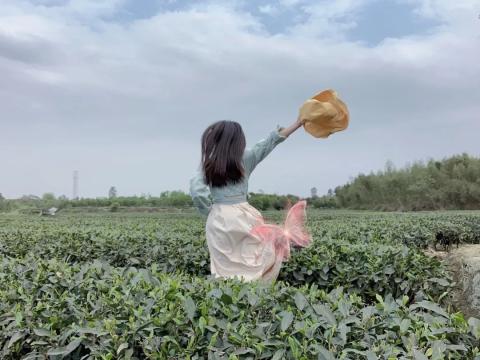遇见另一种生活,文明村落——明月村 遇见另一种生活,文明村落——明月村