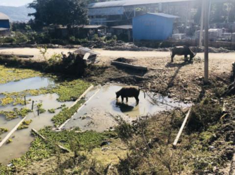 云南游记:浓浓的傣味来袭 云南游记:浓浓的傣味来袭