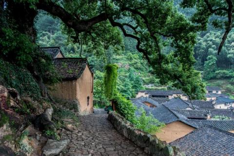 丽水 | 松阳古村落：白云深处有人家
