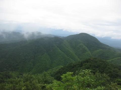 户外达人游记——竹海青幽翠雷山 户外达人游记——竹海青幽翠雷山