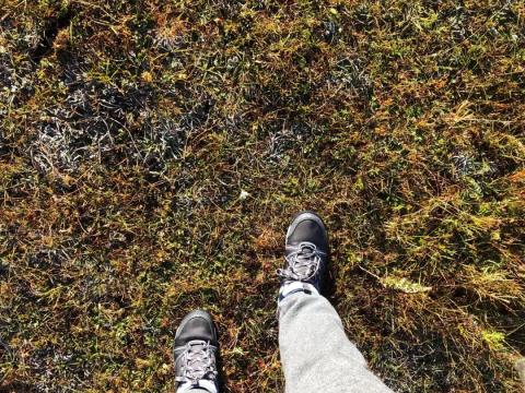 丽江徒步登第一峰看玉龙雪山-菜鸟徒步贴 丽江徒步登第一峰看玉龙雪山-菜鸟徒步贴