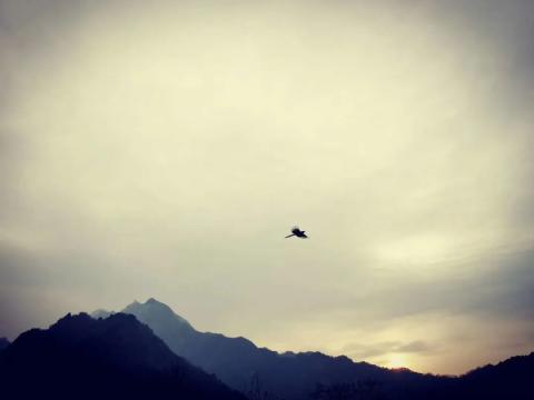 犹记当时景,悠悠终南里的黄昏古乐之约!| 活动回顾 犹记当时景,悠悠终南里的黄昏古乐之约!| 活动回顾