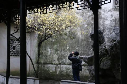 苏州篇-拙政园赏梅 苏州篇-拙政园赏梅