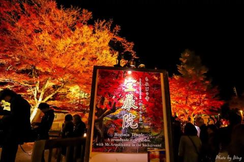 日本赏枫攻略 | 宝厳院,可以拍出没有人的效果的夜枫。 日本赏枫攻略 | 宝厳院,可以拍出没有人的效果的夜枫。