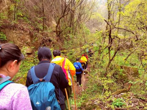 五上黄峪寺,黄峪沟徒步登顶三寺穿越赏满山白娟梅 五上黄峪寺,黄峪沟徒步登顶三寺穿越赏满山白娟梅