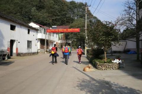 游记|武义七驼峰 游记|武义七驼峰