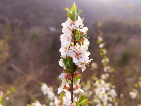 四上箭峪岭,带队团建,寻灞河源头/一脚踏三县 四上箭峪岭,带队团建,寻灞河源头/一脚踏三县
