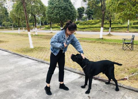 云南芒市游记:这座最稀奇古怪的公园,你打卡了吗? 云南芒市游记:这座最稀奇古怪的公园,你打卡了吗?