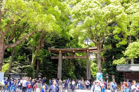 日本游记 | 明治神宫,东京市中心最大的绿地。 日本游记 | 明治神宫,东京市中心最大的绿地。