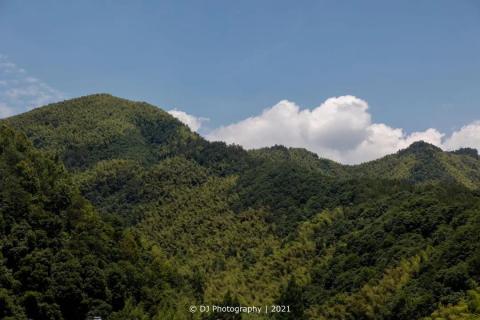 夏日悠长,一起去露营吧! 夏日悠长,一起去露营吧!