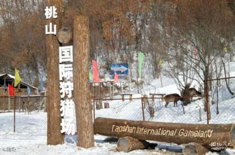 黑龙江桃山桃源湖旅游区旅游攻略 之 猎场 黑龙江桃山桃源湖旅游区旅游攻略 之 猎场