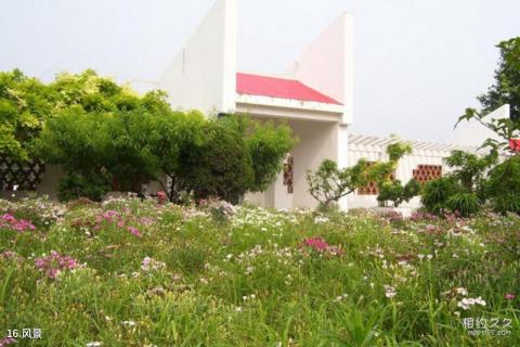 莱芜莲花山风景区旅游攻略 莱芜莲花山风景区旅游攻略