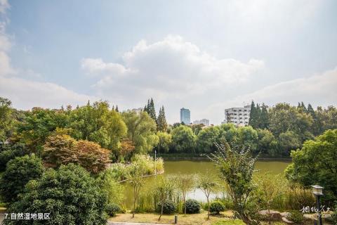 南京乌龙潭公园景区旅游攻略 之 自然湿地景区
