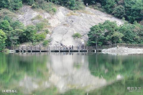 从化石门国家森林公园旅游攻略 之 鲤鱼板石