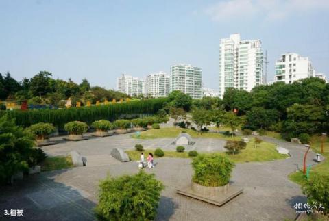 常州新北中心公园旅游攻略 之 植被