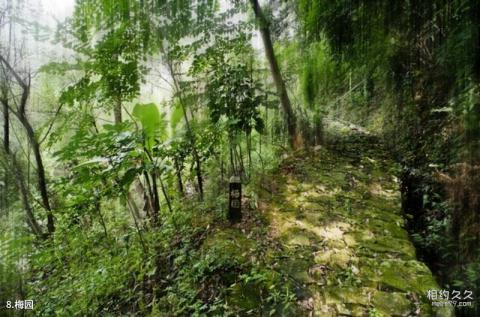 宁德南漈山公园旅游攻略 之 梅园