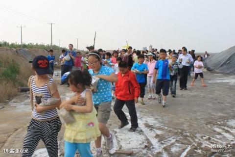 寿光林海生态博览园旅游攻略 之 盐业观光