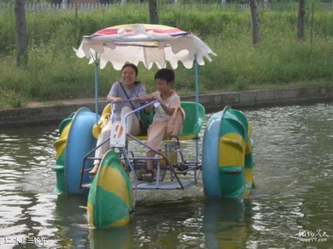 郑州金鹭鸵鸟游乐园旅游攻略 之 水上三轮车