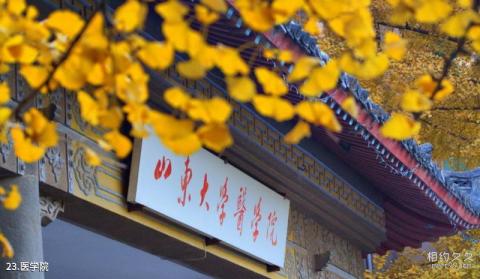 山东大学校园风光 之 医学院