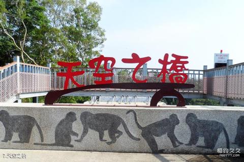 南投猴探井风景区旅游攻略 之 天空之桥 南投猴探井风景区旅游攻略 之 天空之桥