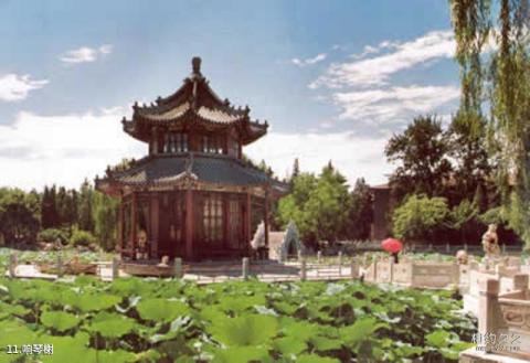 保定古莲花池旅游攻略 之 响琴榭 保定古莲花池旅游攻略 之 响琴榭