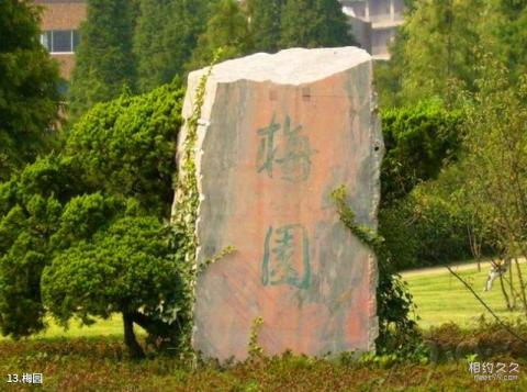 中国科学技术大学校园风光 之 梅园
