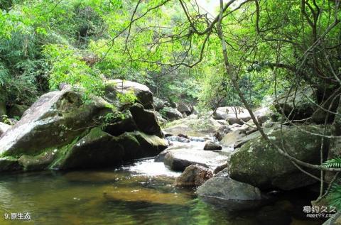 贺州十八水原生态园景区旅游攻略 之 原生态