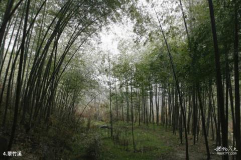 河南薄山湖风景区旅游攻略 之 翠竹溪